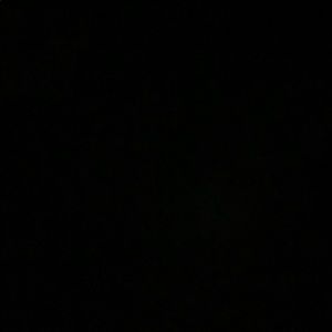 Meet your Posher, Ross